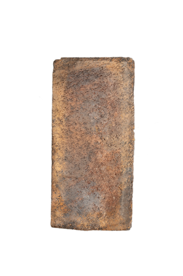 Vieille écorce d'érable 3 couleurs (QBC) - Image 10